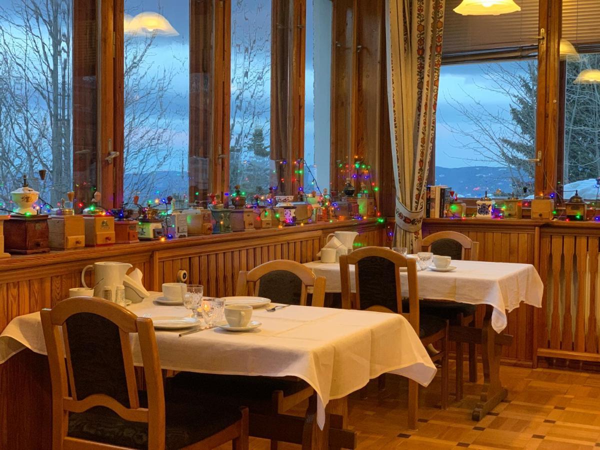 Pensjonat Paradise 카르파츠 외부 사진